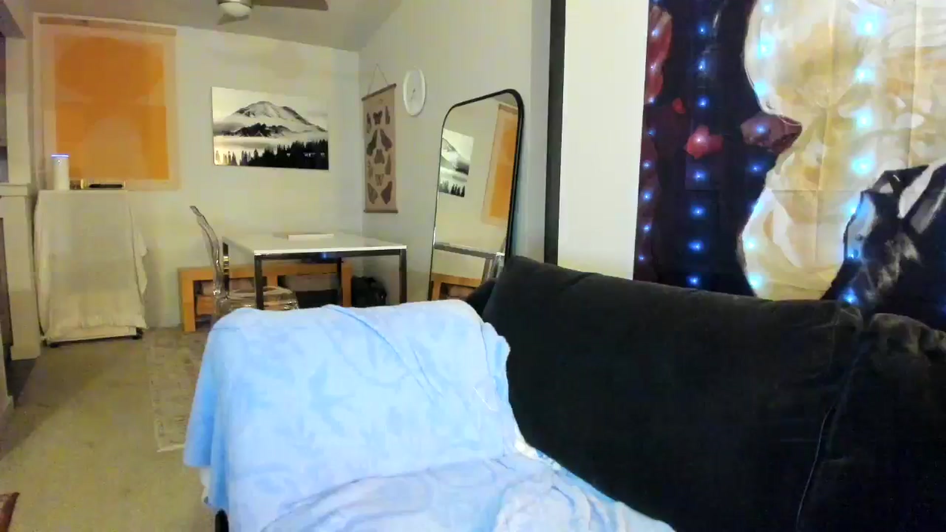 Gallery image thumbnail from JinnaWhite's myfreecams stream on, 11/11/2024, 03:02 image 6 of 20