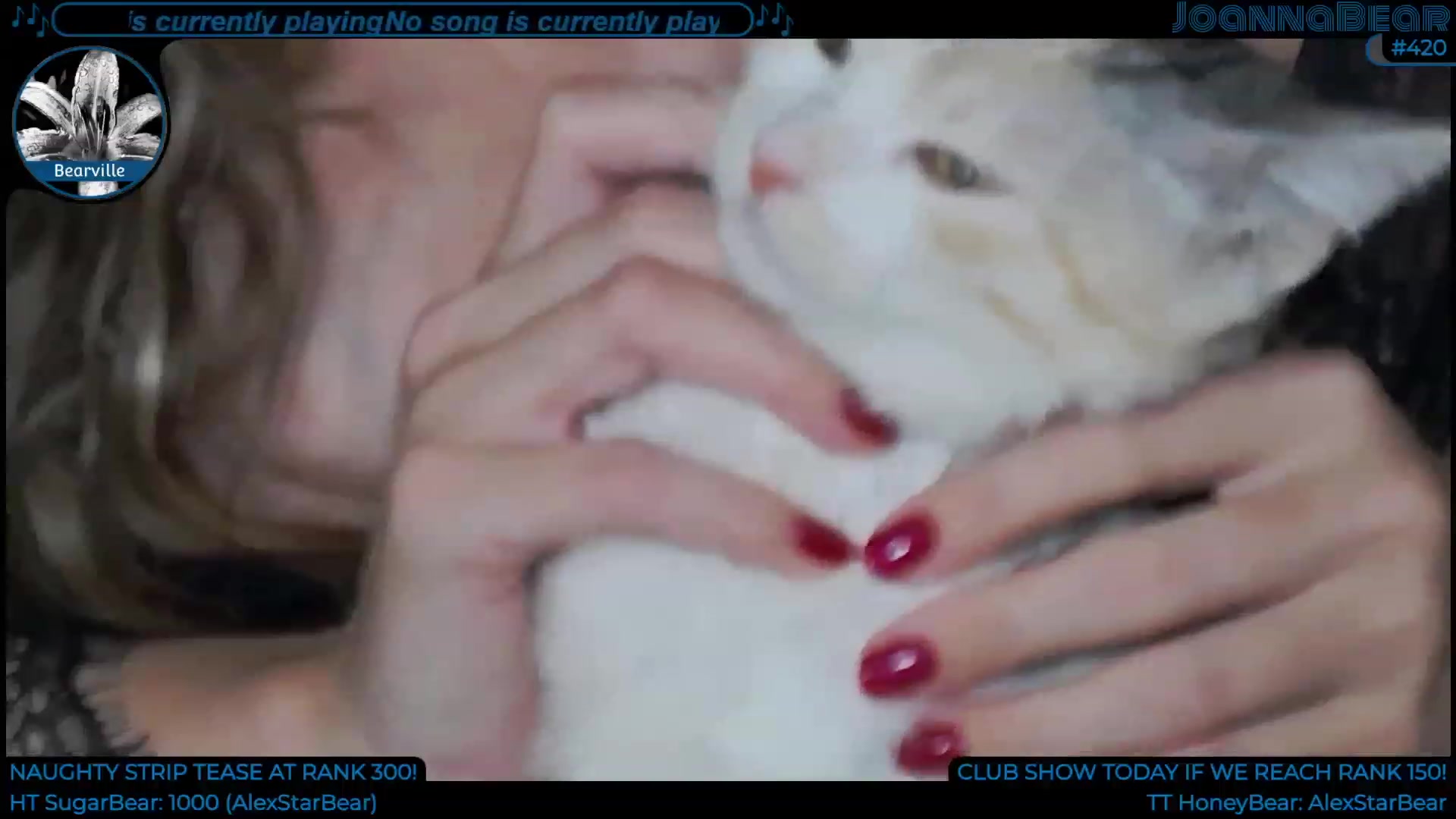 Gallery image thumbnail from JoBearr's myfreecams stream on, 12/03/2022, 24:25 image 15 of 20