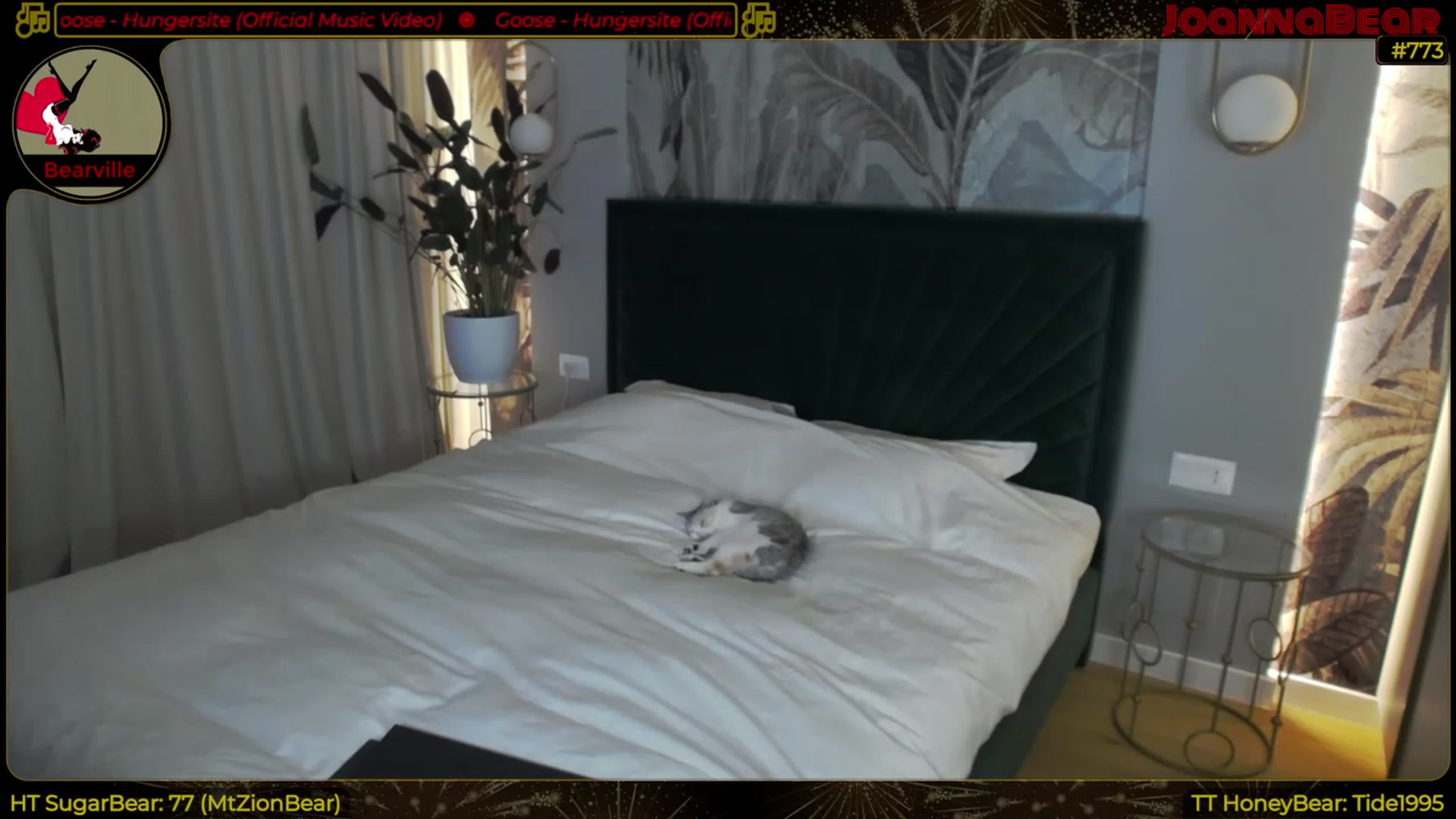 Gallery image thumbnail from JoBearr's myfreecams stream on, 02/19/2023, 23:03 image 9 of 20