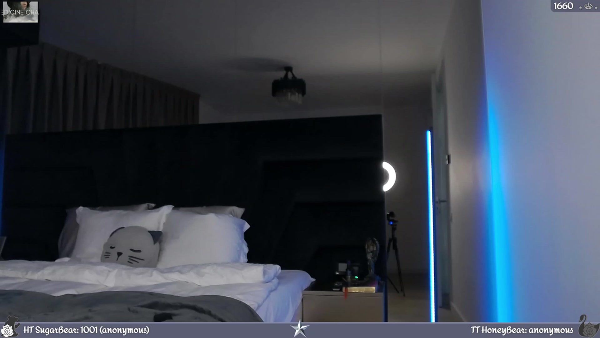 Gallery image thumbnail from JoBearr's myfreecams stream on, 02/04/2024, 01:34 image 12 of 20