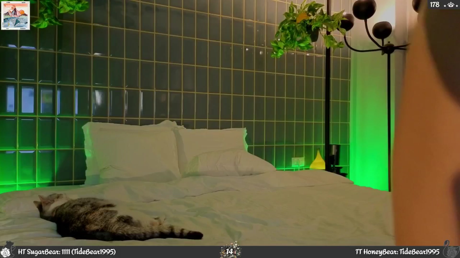 Gallery image thumbnail from JoBearr's myfreecams stream on, 09/22/2025, 01:06 image 16 of 20