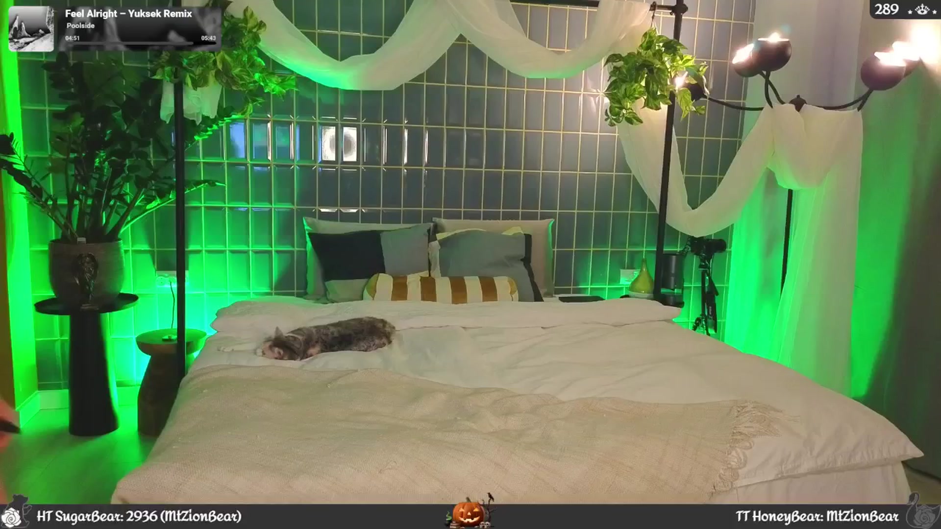 Gallery image thumbnail from JoBearr's myfreecams stream on, 10/27/2025, 24:38 image 14 of 20