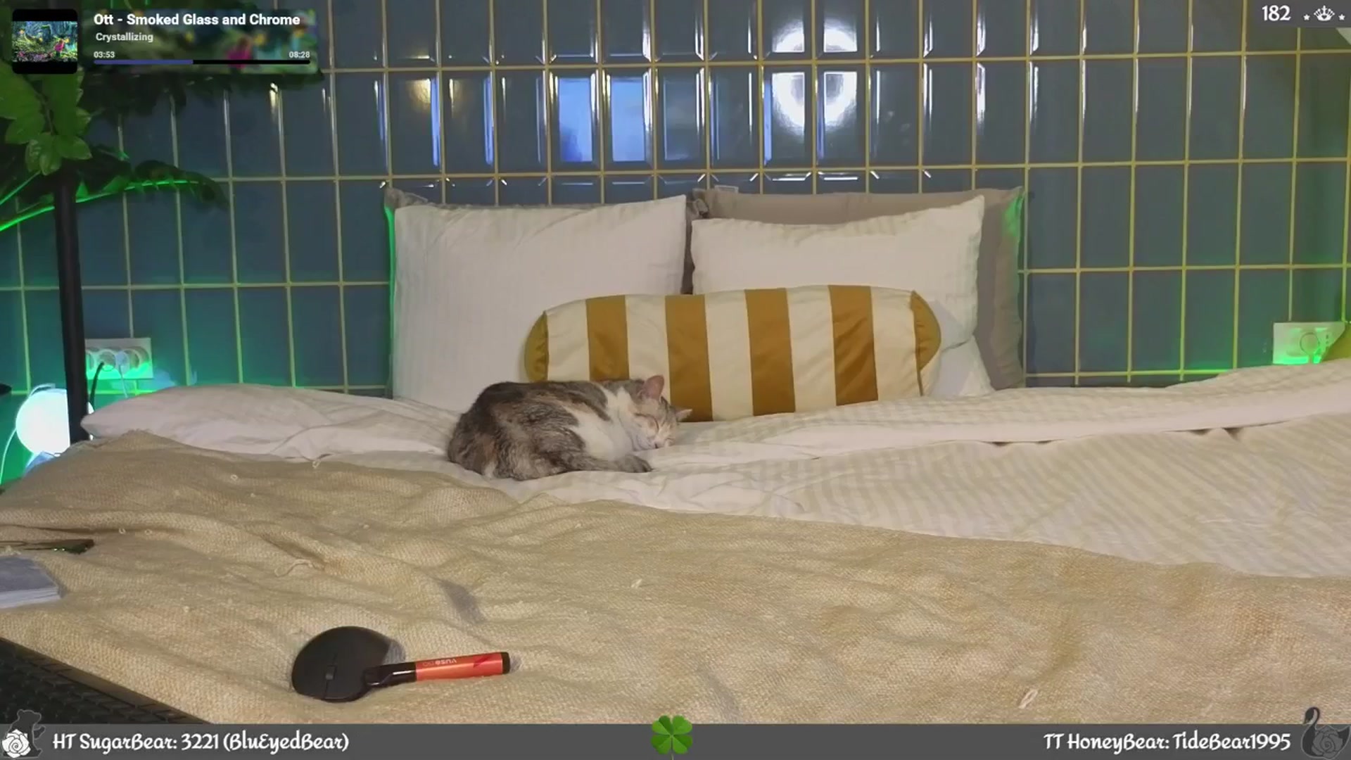 Gallery image thumbnail from JoBearr's myfreecams stream on, 04/18/2026, 23:44 image 19 of 20