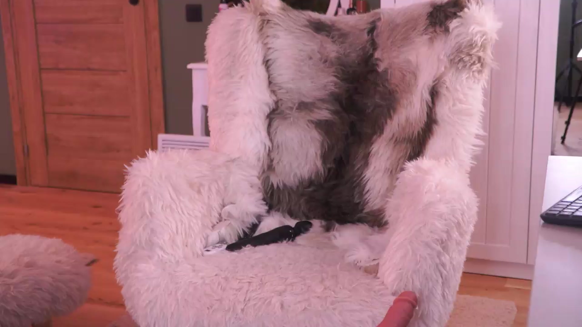 Gallery image thumbnail from JoanneXOXO's myfreecams stream on, 06/14/2026, 19:18 image 17 of 20