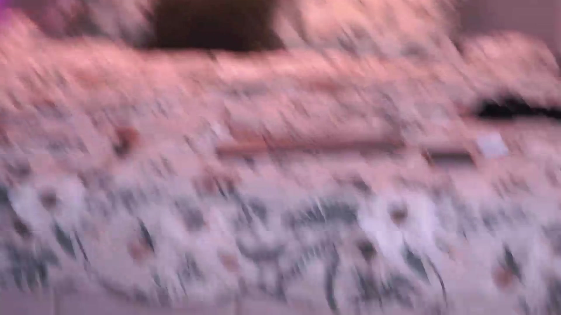 Gallery image thumbnail from JoanneXOXO's myfreecams stream on, 08/15/2026, 12:23 image 19 of 20