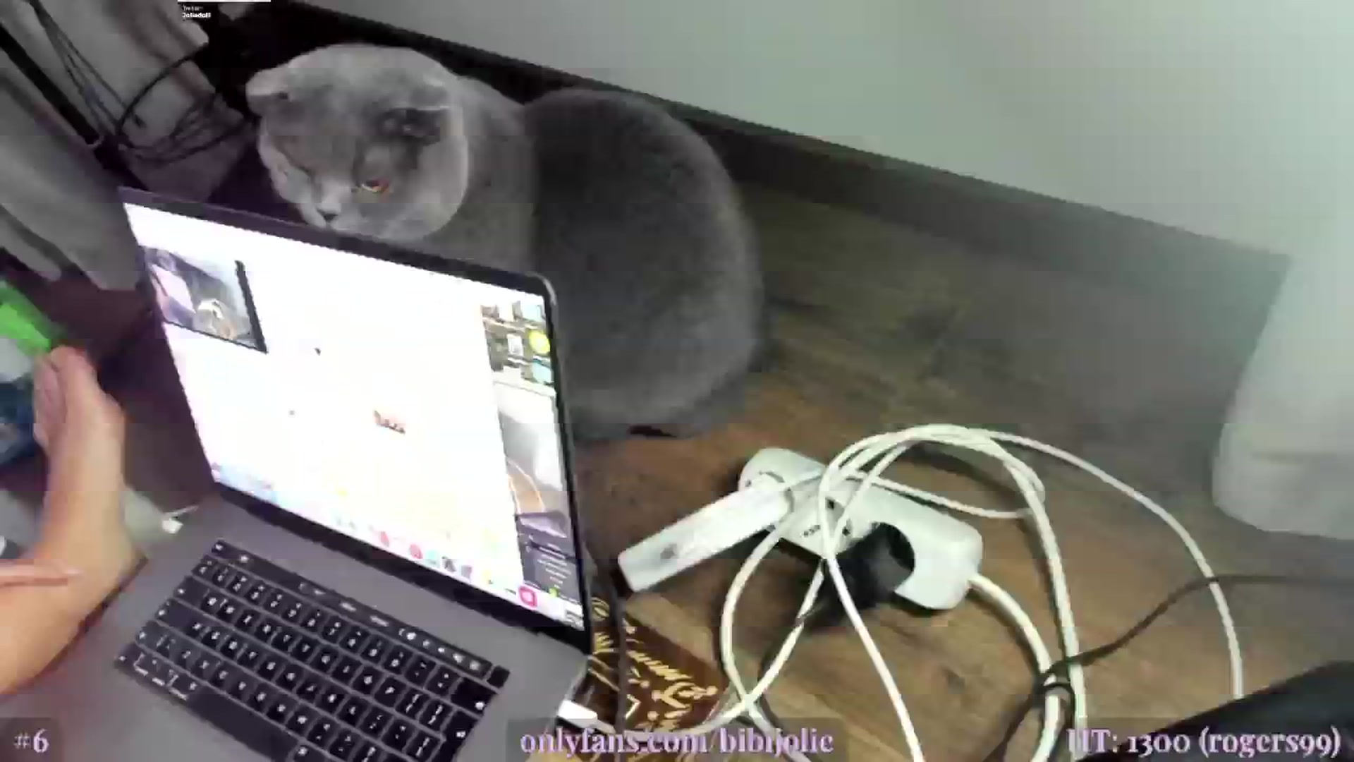 Gallery image thumbnail from JolieLouWho's myfreecams stream on, 02/04/2025, 06:55 image 4 of 20