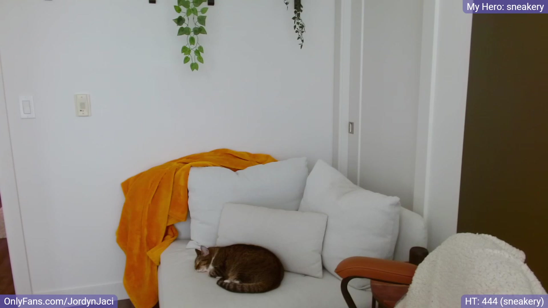 Gallery image thumbnail from JordynJaci's myfreecams stream on, 06/19/2023, 20:52 image 10 of 20