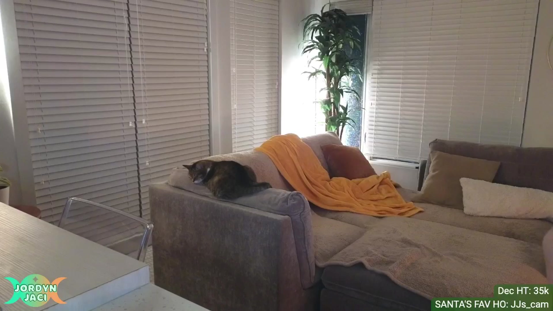 Gallery image thumbnail from JordynJaci's myfreecams stream on, 12/16/2024, 02:33 image 10 of 20