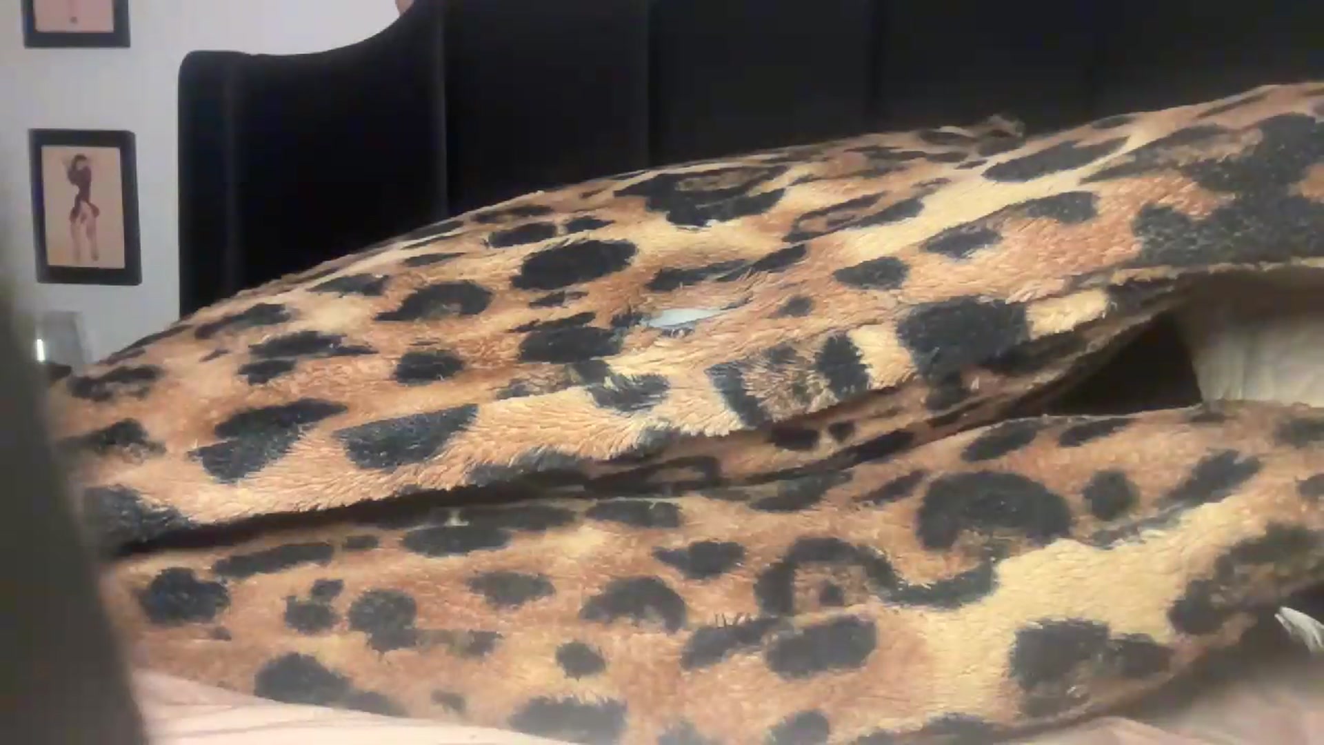 Gallery image thumbnail from Josslyn_stone's myfreecams stream on, 09/01/2026, 11:24 image 17 of 20