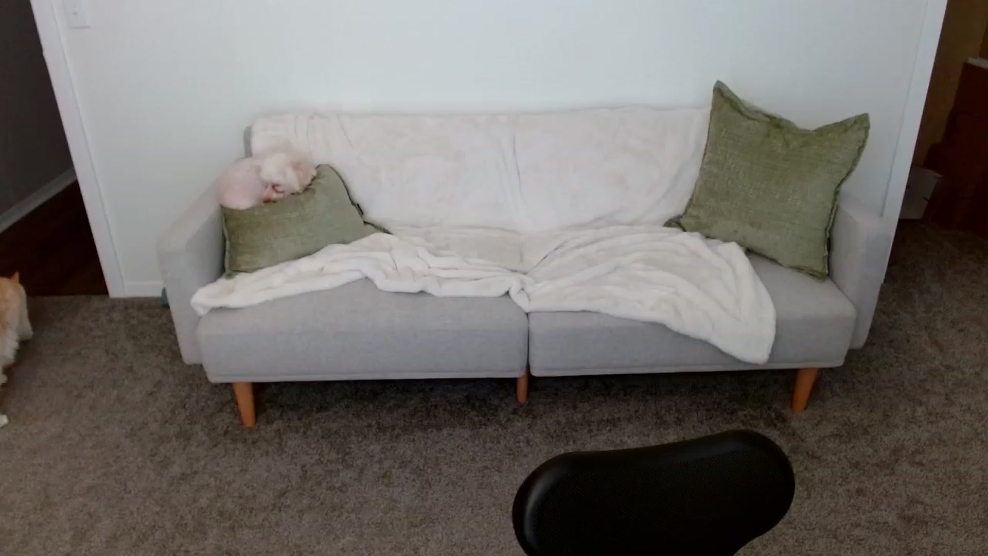 Gallery image thumbnail from JourneyJade's myfreecams stream on, 02/18/2024, 20:54 image 20 of 20