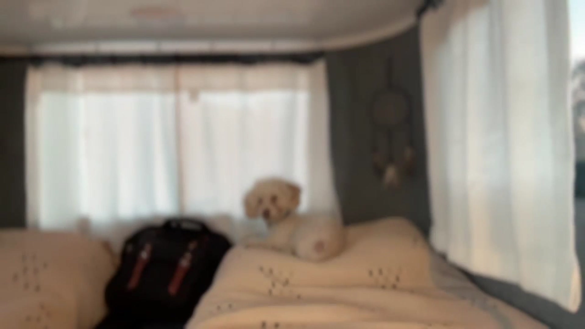 Gallery image thumbnail from JourneyJade's myfreecams stream on, 10/17/2024, 22:49 image 15 of 20