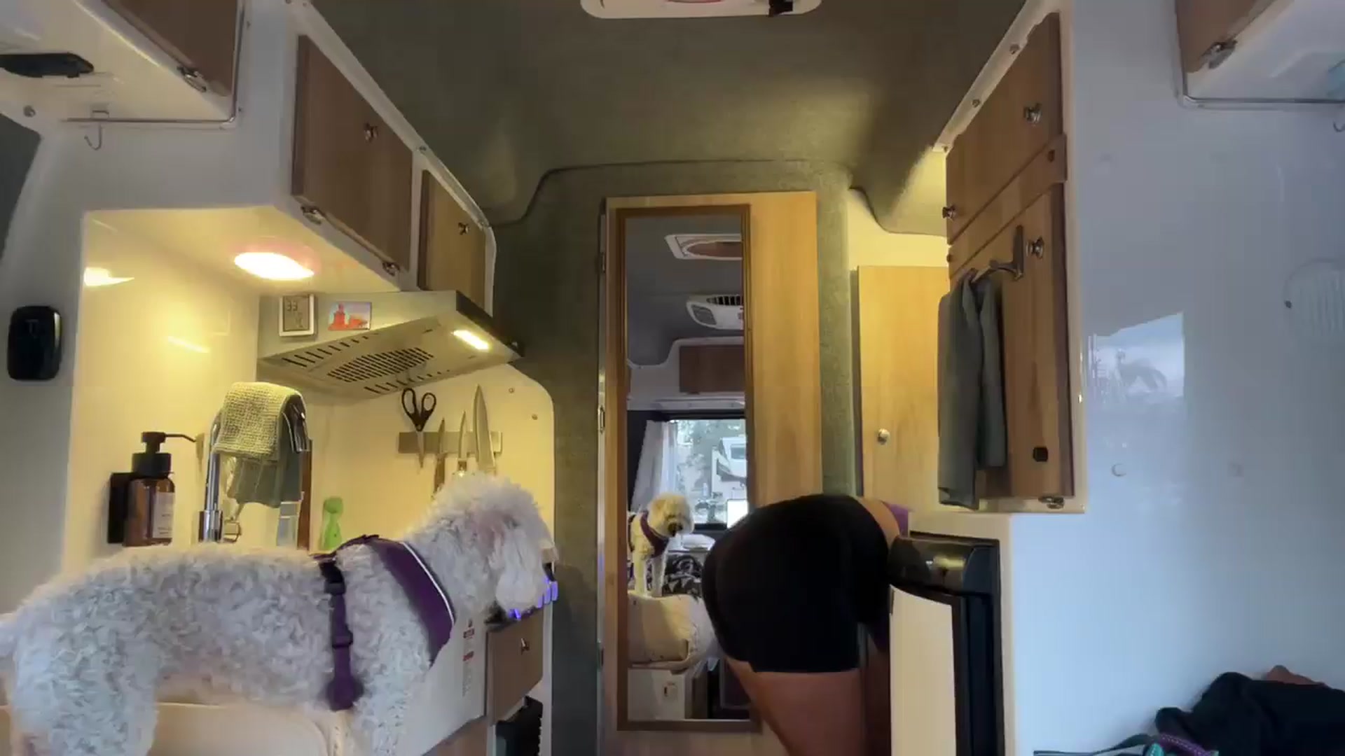 Gallery image thumbnail from JourneyJade's myfreecams stream on, 05/09/2025, 22:30 image 15 of 20