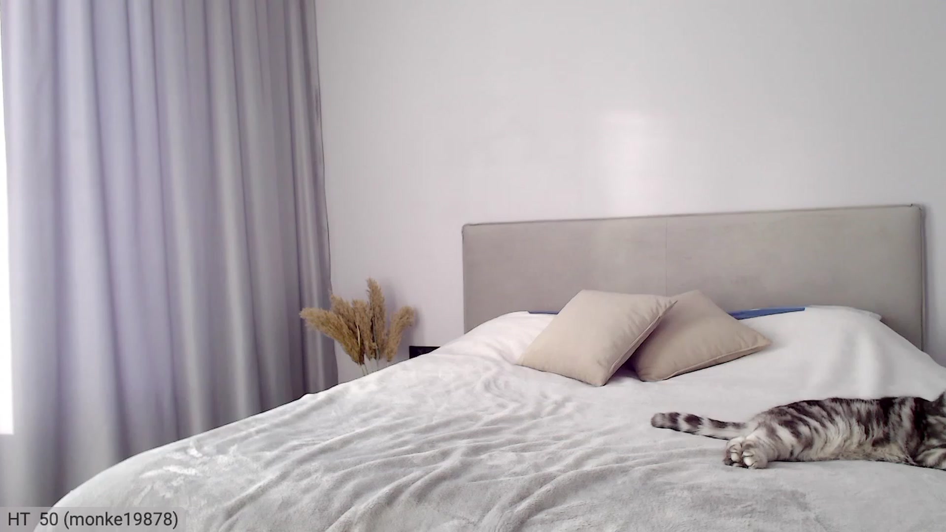 Gallery image thumbnail from JuicyD__'s myfreecams stream on, 12/07/2022, 10:29 image 12 of 20