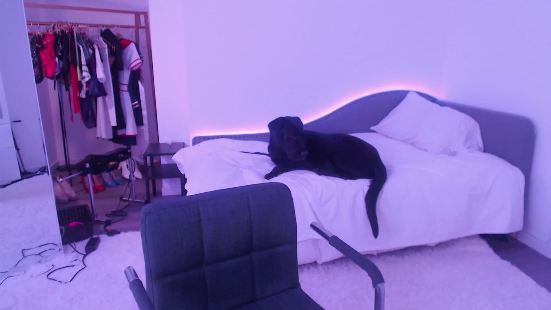 Gallery image thumbnail from JuicyJaimee's myfreecams stream on, 05/23/2023, 02:34 image 1 of 20