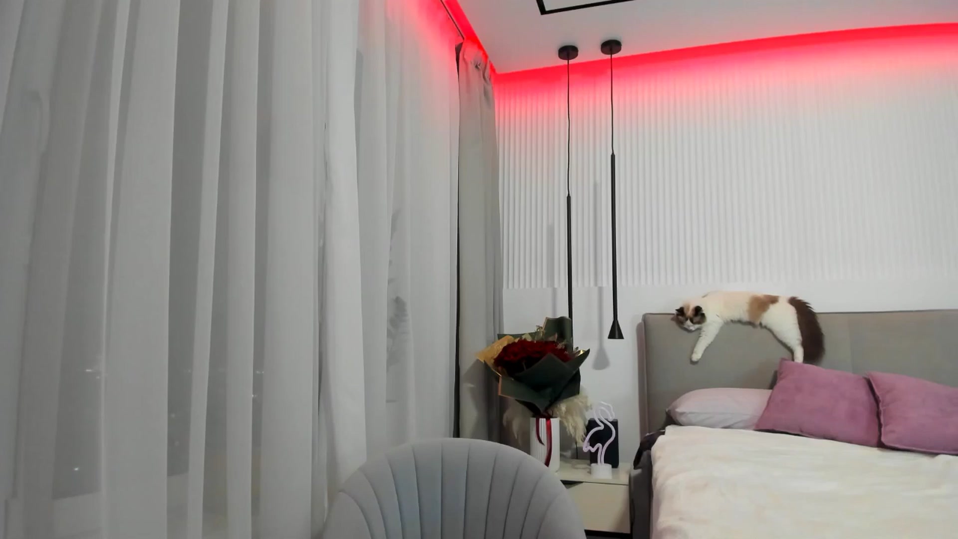 Gallery image thumbnail from Juicyylips's myfreecams stream on, 02/15/2025, 20:50 image 3 of 20