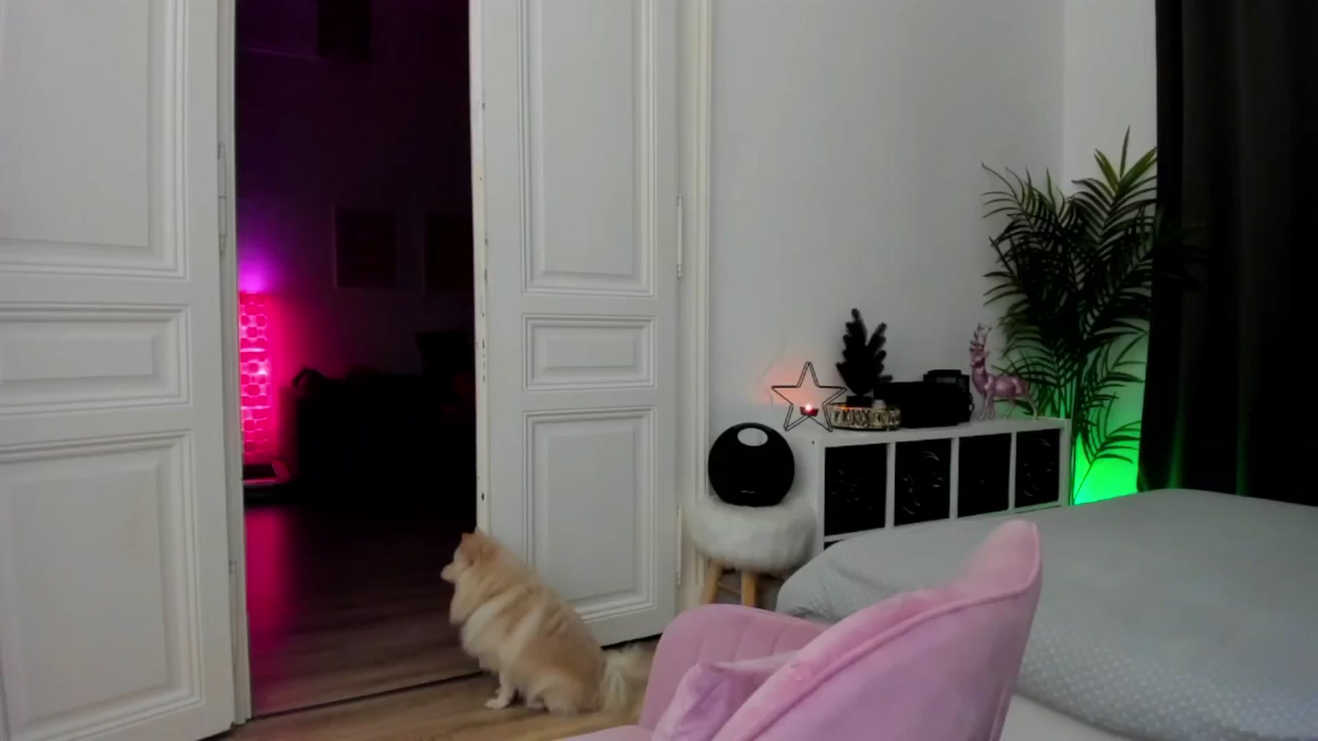 Gallery image thumbnail from Jul_la_la's myfreecams stream on, 12/11/2024, 15:16 image 9 of 20