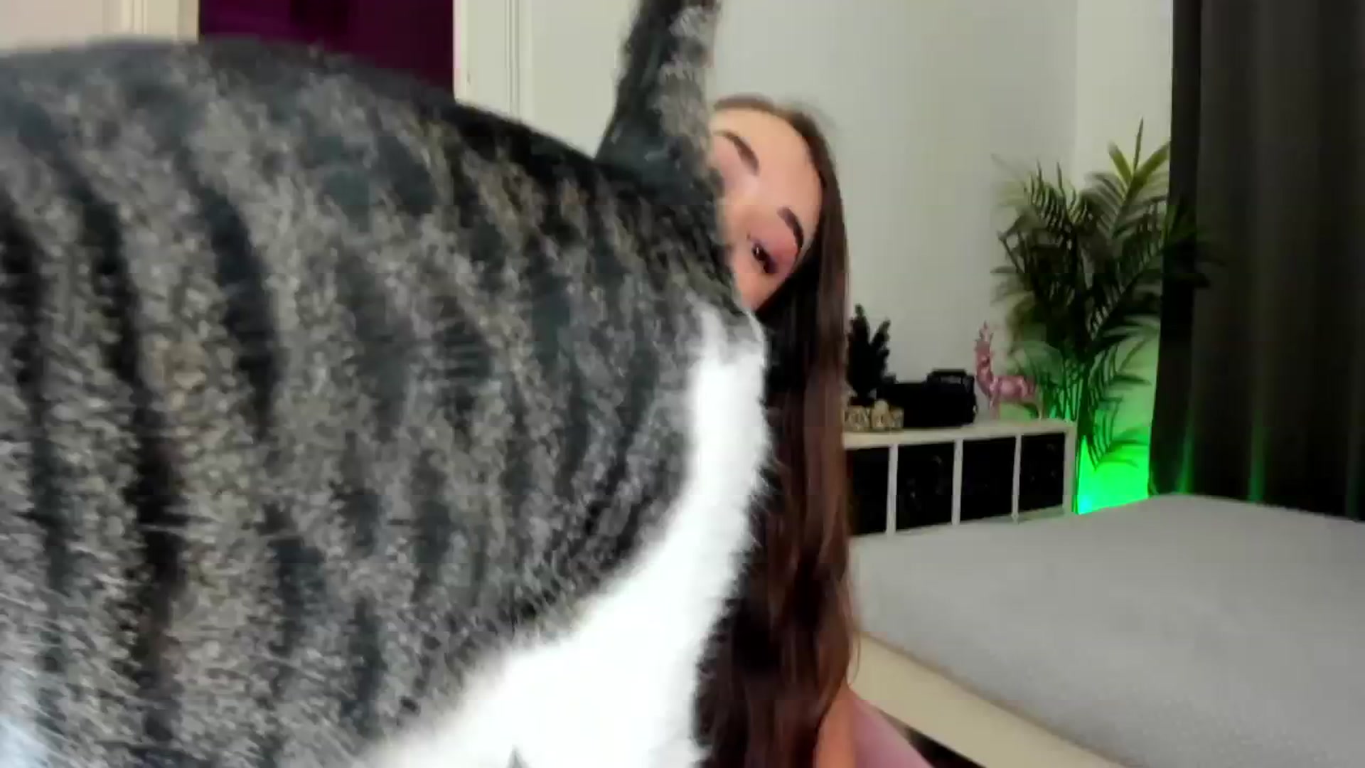 Gallery image thumbnail from Jul_la_la's myfreecams stream on, 12/12/2024, 18:25 image 18 of 20