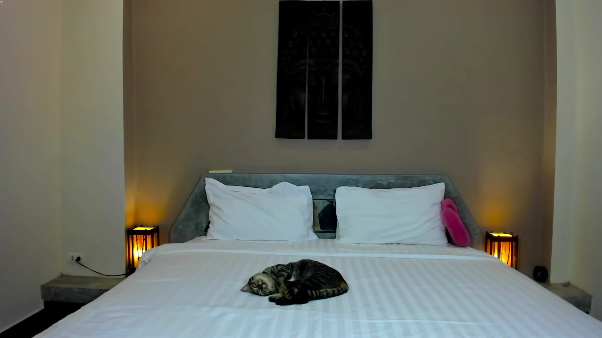 Gallery image thumbnail from Jul_la_la's myfreecams stream on, 01/30/2026, 13:49 image 1 of 20