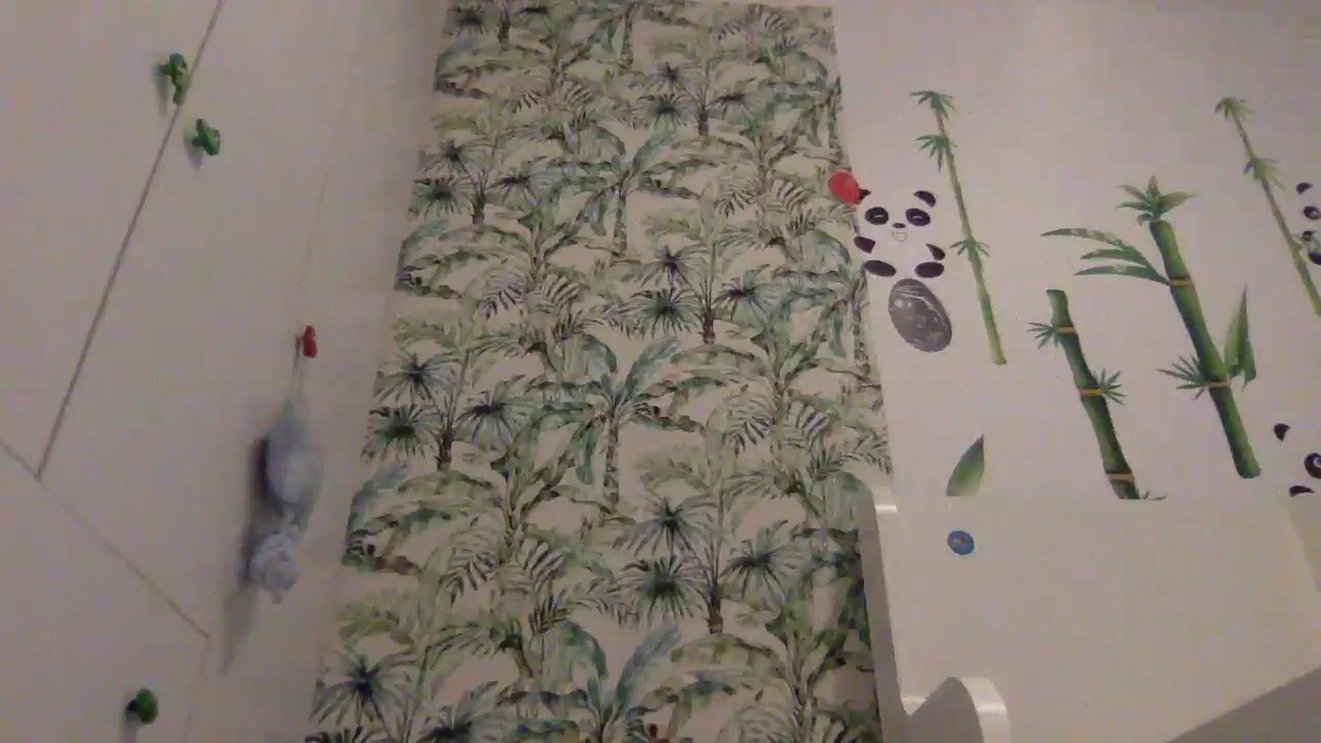 Gallery image thumbnail from Julia0410's myfreecams stream on, 08/06/2024, 11:33 image 11 of 20
