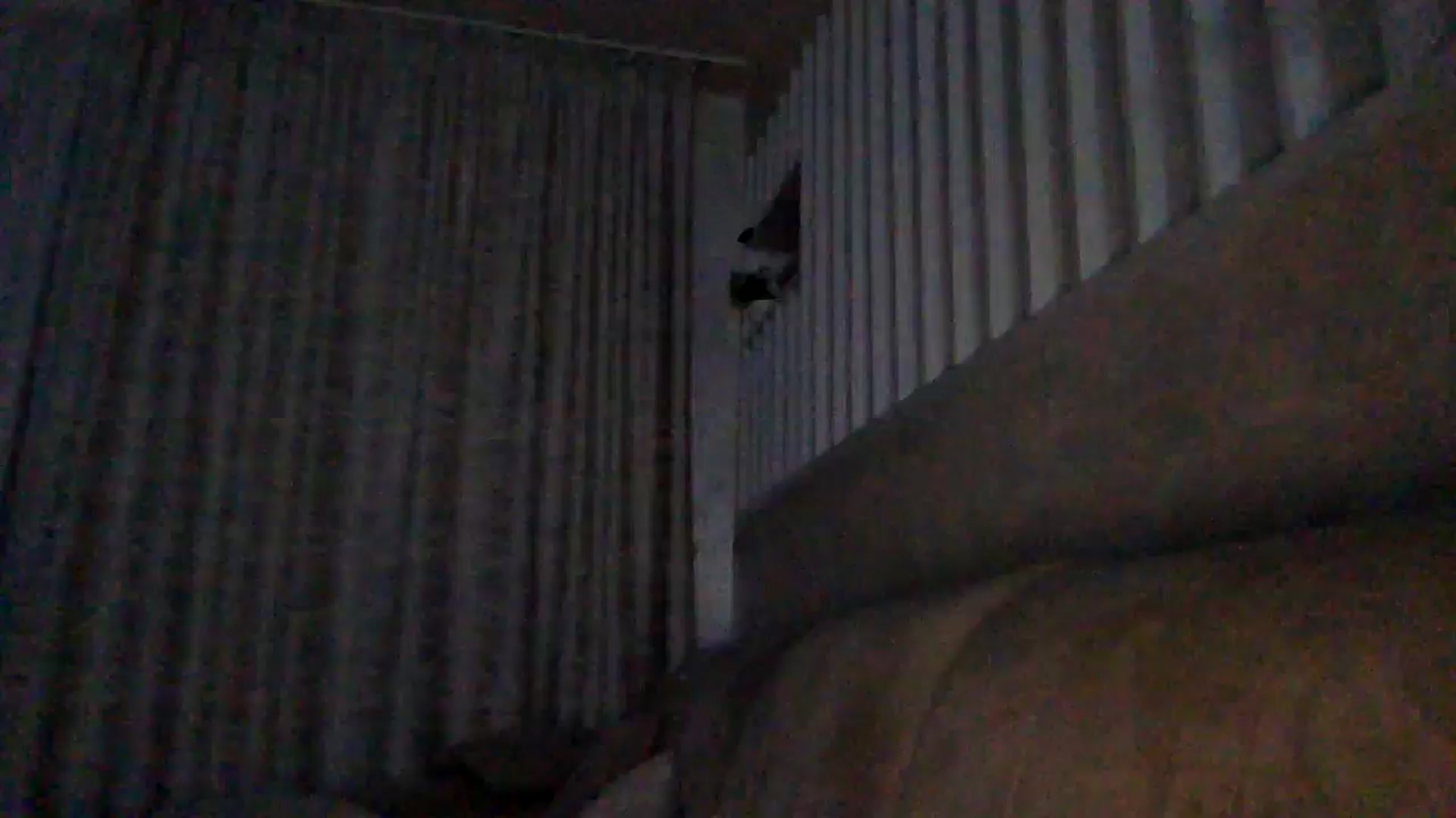 Gallery image thumbnail from Julia0410's myfreecams stream on, 12/08/2025, 21:30 image 20 of 20