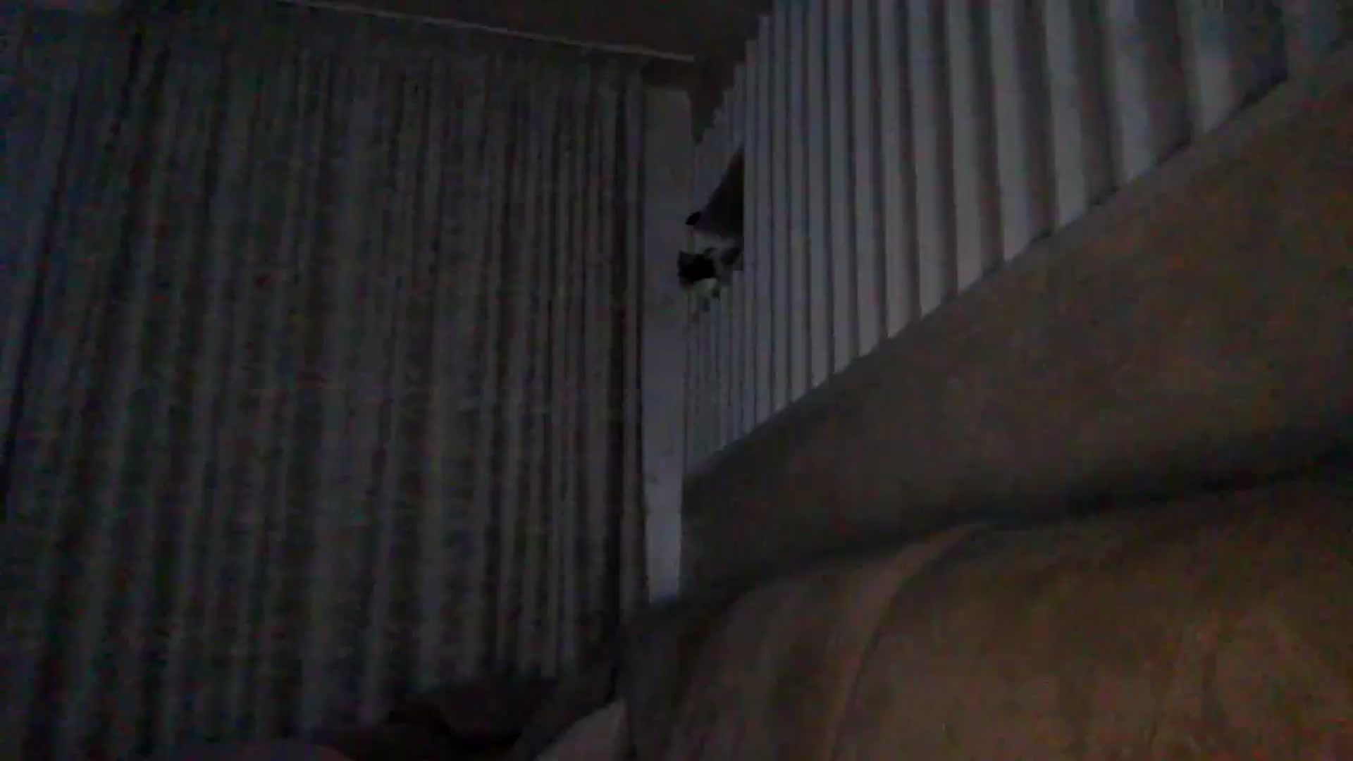 Gallery image thumbnail from Julia0410's myfreecams stream on, 12/08/2025, 21:30 image 19 of 20