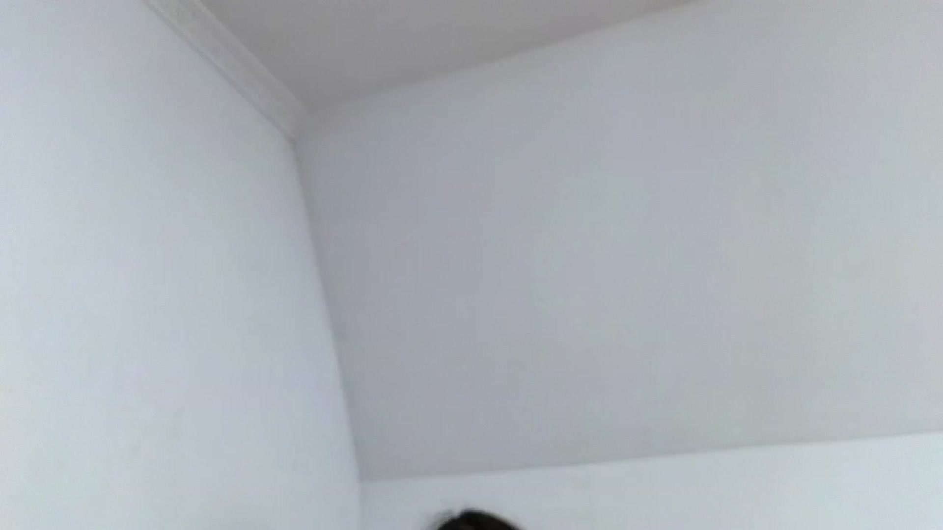Gallery image thumbnail from Jullyenn3's myfreecams stream on, 11/01/2024, 18:07 image 3 of 20