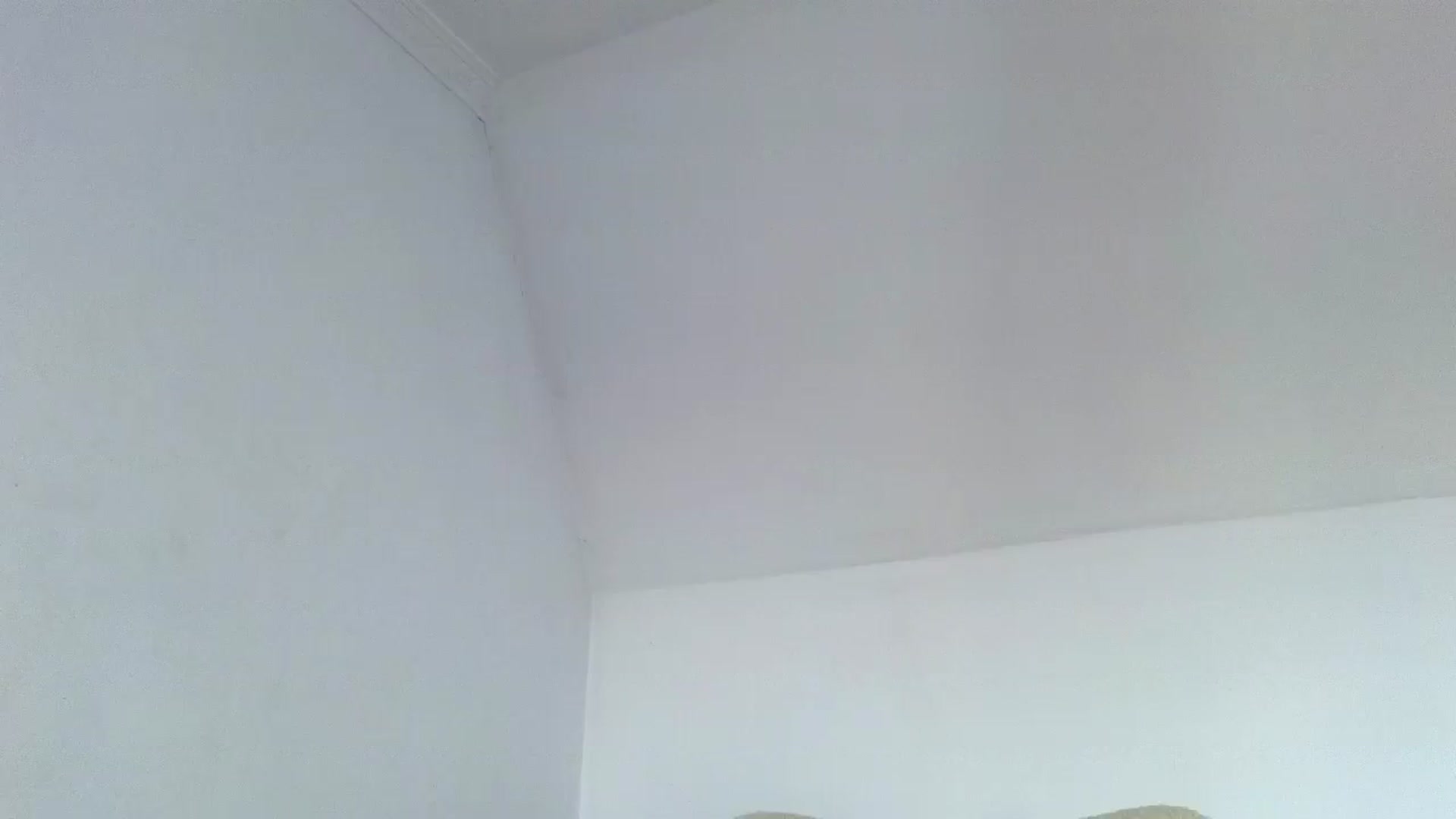 Gallery image thumbnail from Jullyenn3's myfreecams stream on, 11/26/2024, 13:58 image 14 of 20
