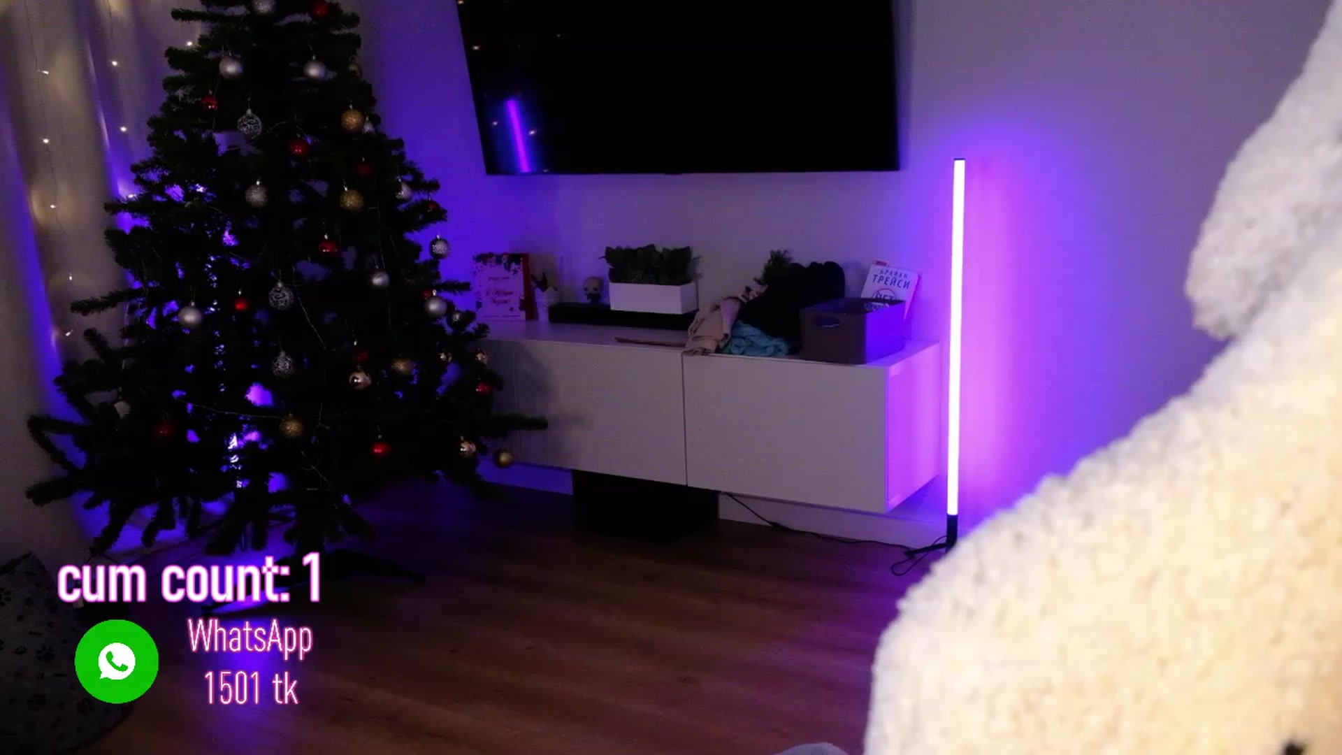 Gallery image thumbnail from JulyRedFox's myfreecams stream on, 12/24/2022, 02:05 image 7 of 20