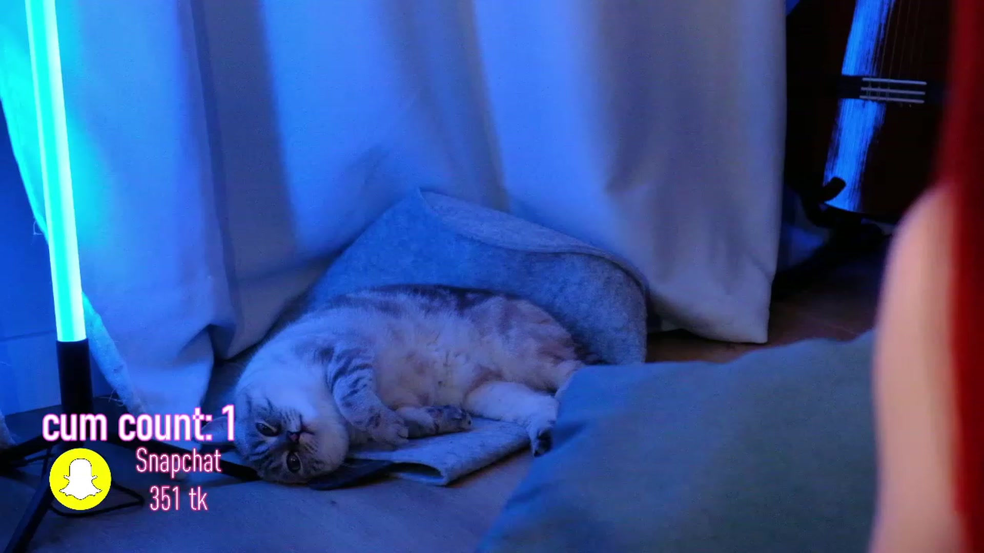 Gallery image thumbnail from JulyRedFox's myfreecams stream on, 01/13/2023, 01:48 image 1 of 20