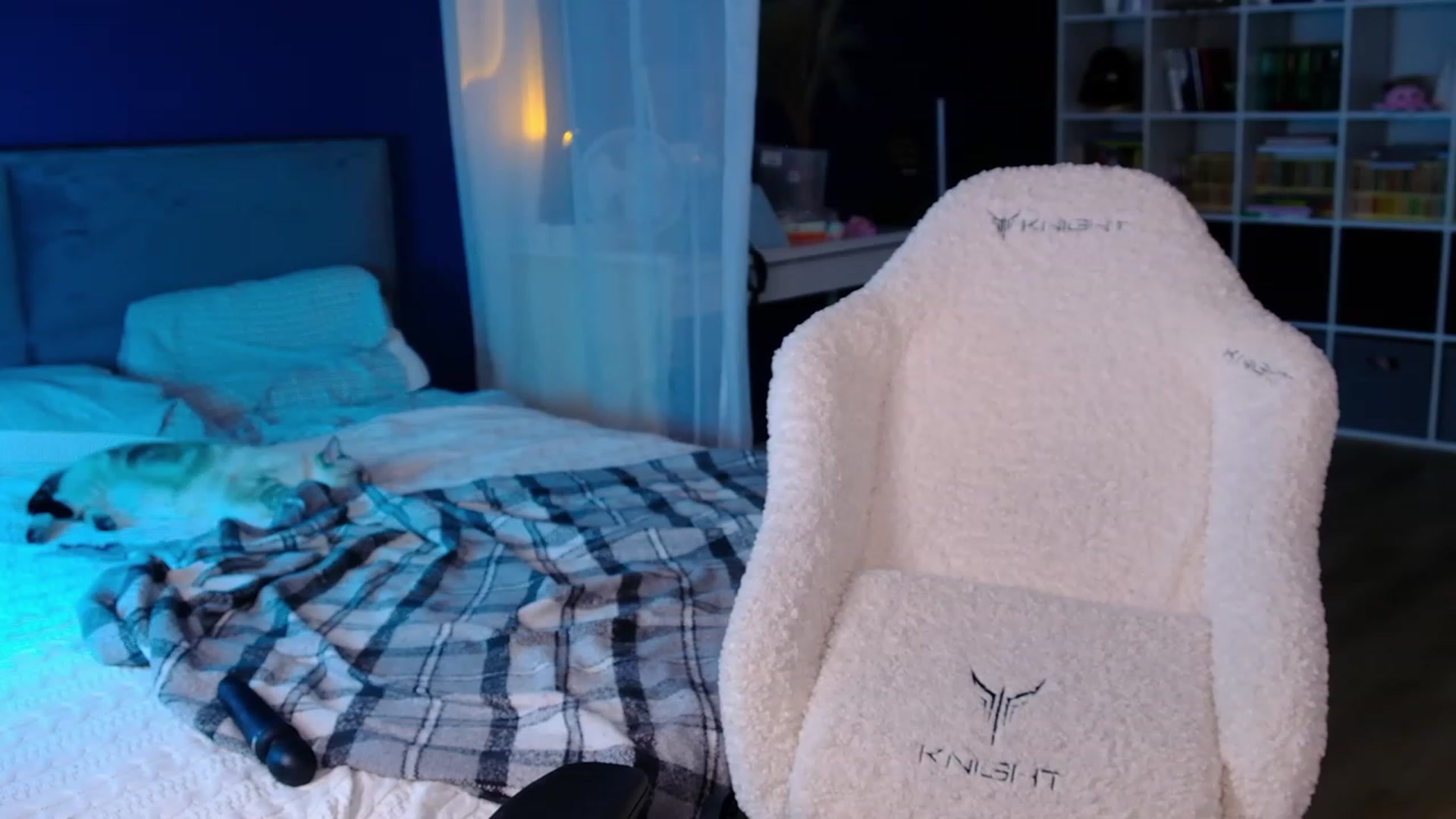 Gallery image thumbnail from JulyRedFox's myfreecams stream on, 08/15/2023, 03:19 image 4 of 20