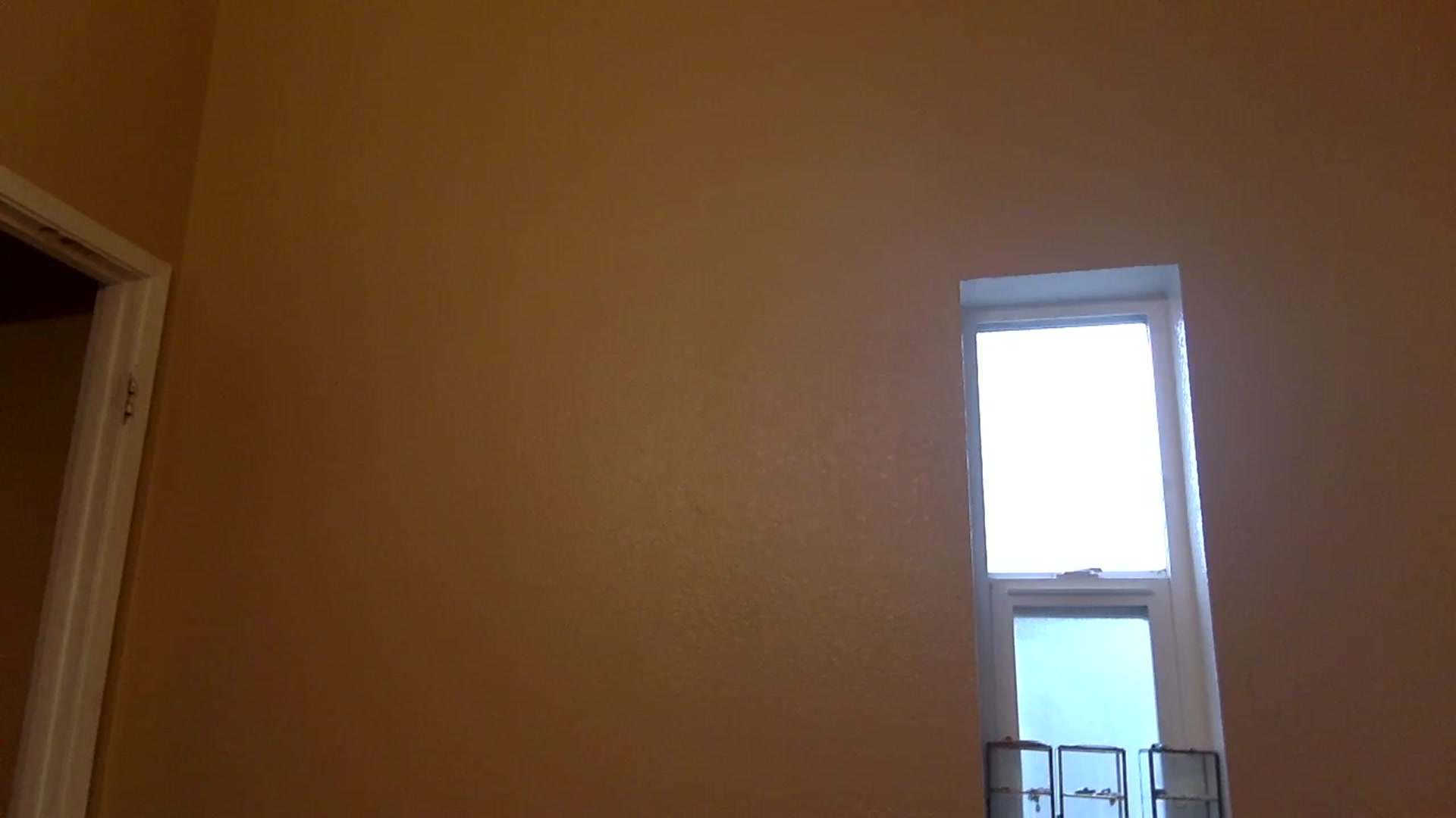 Gallery image thumbnail from Juniper_'s myfreecams stream on, 01/16/2024, 21:46 image 18 of 20