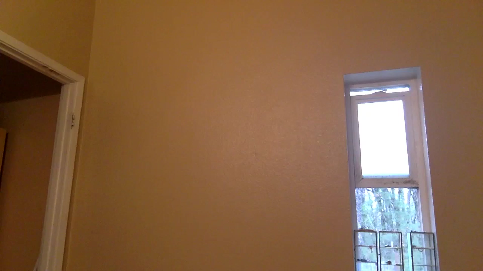 Gallery image thumbnail from Juniper_'s myfreecams stream on, 01/16/2024, 22:59 image 8 of 20