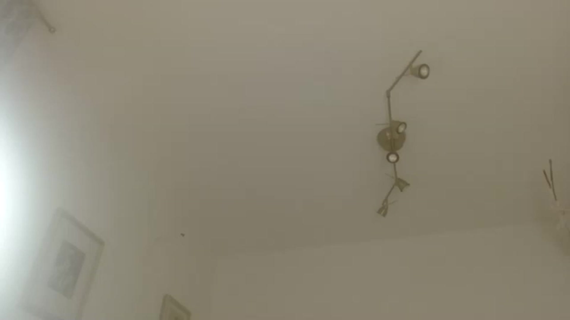 Gallery image thumbnail from JustLily's myfreecams stream on, 12/28/2022, 24:01 image 7 of 20