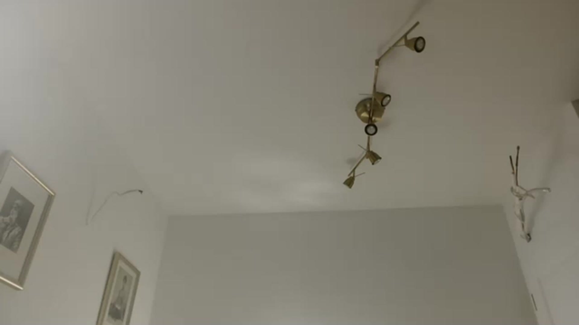Gallery image thumbnail from JustLily's myfreecams stream on, 01/16/2023, 24:00 image 3 of 20