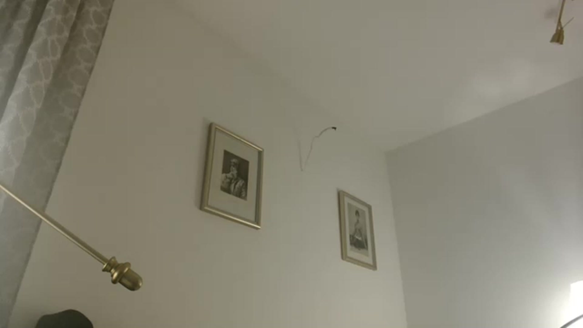 Gallery image thumbnail from JustLily's myfreecams stream on, 02/10/2023, 20:48 image 5 of 20