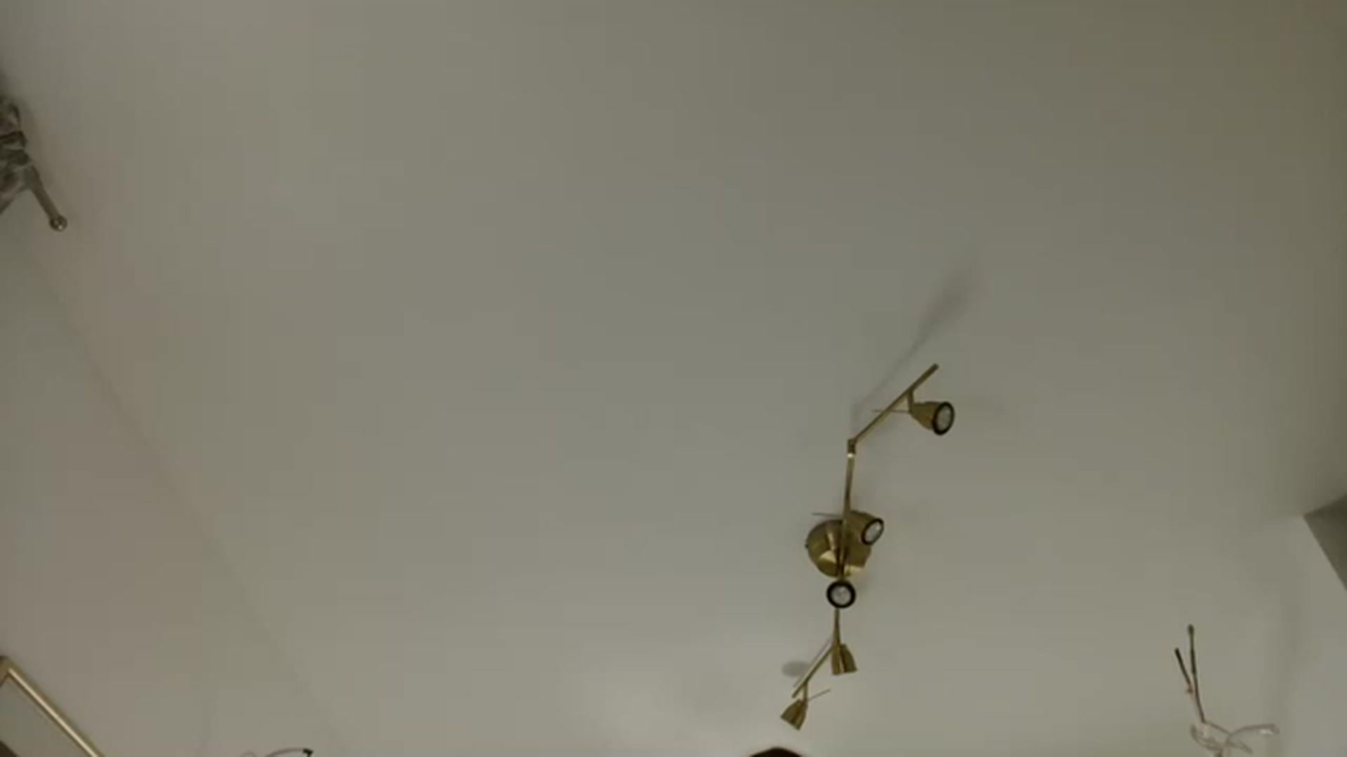 Gallery image thumbnail from JustLily's myfreecams stream on, 03/22/2023, 23:11 image 1 of 20