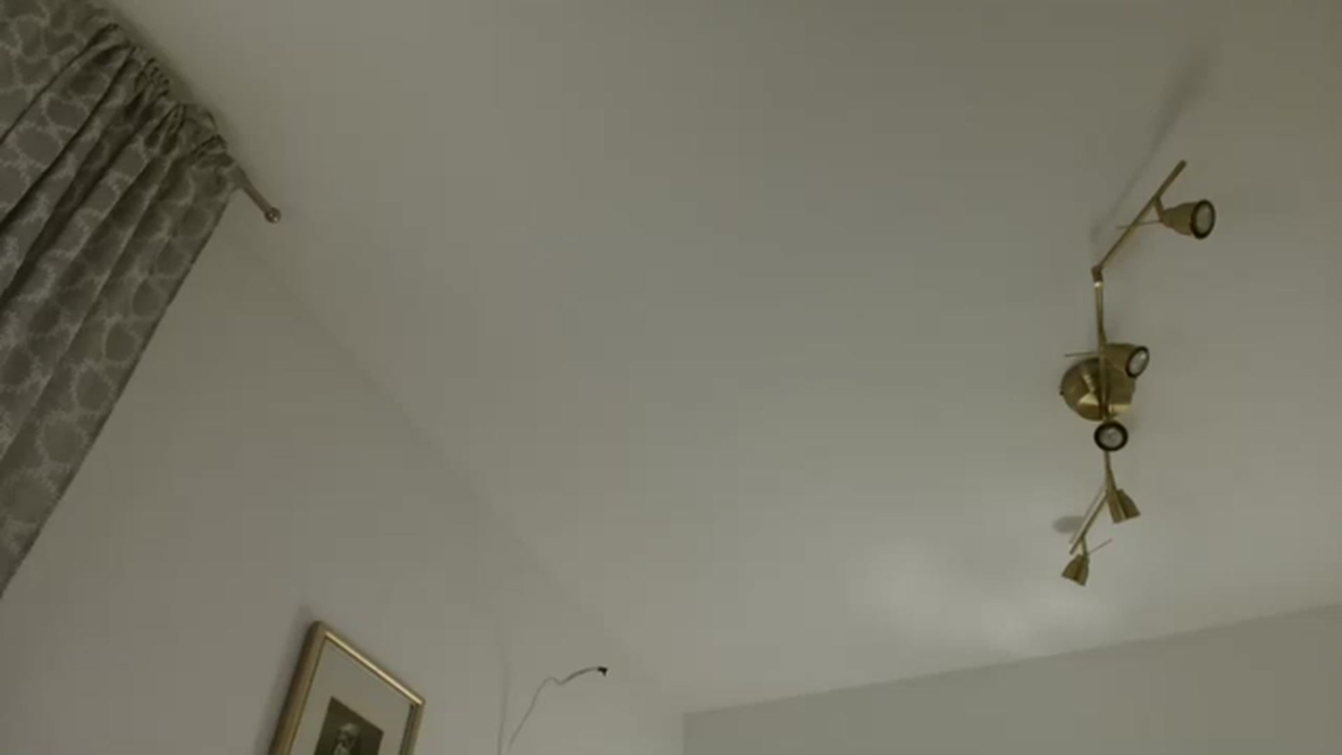 Gallery image thumbnail from JustLily's myfreecams stream on, 03/24/2023, 23:00 image 5 of 20