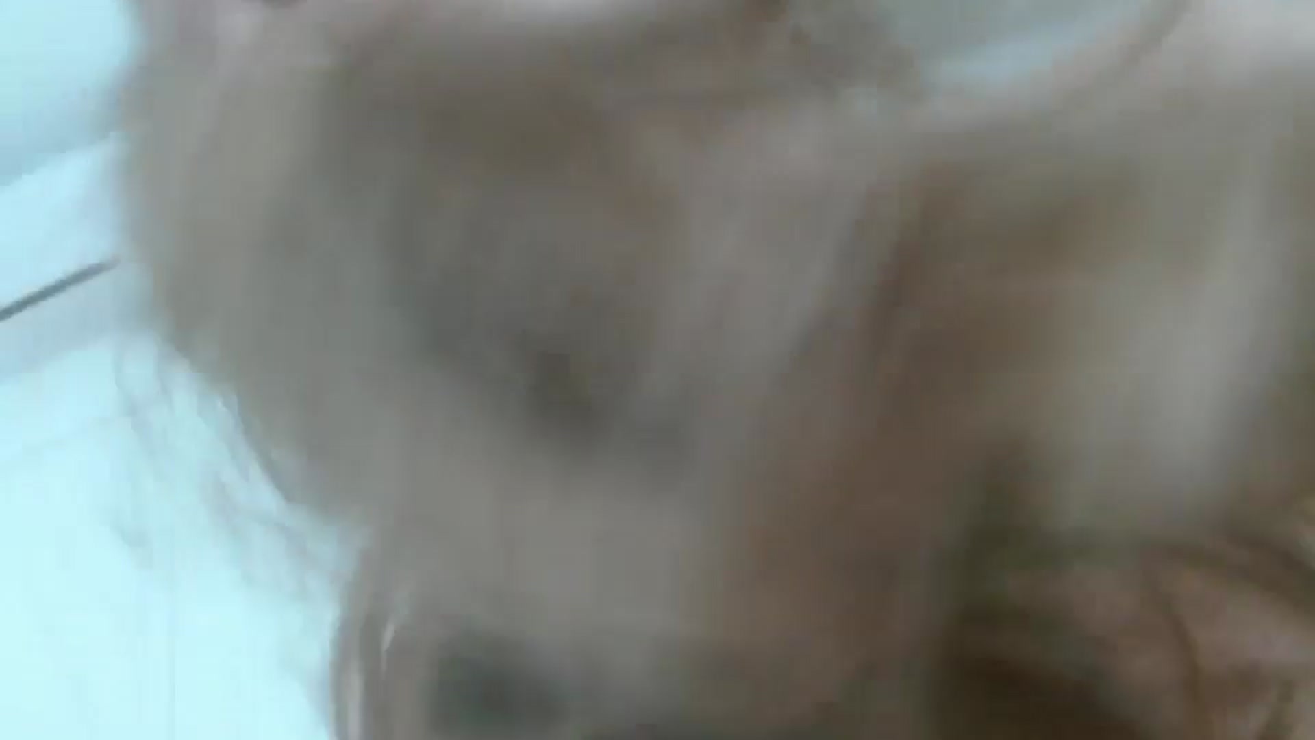 Gallery image thumbnail from JustLily's myfreecams stream on, 10/13/2025, 15:08 image 10 of 20