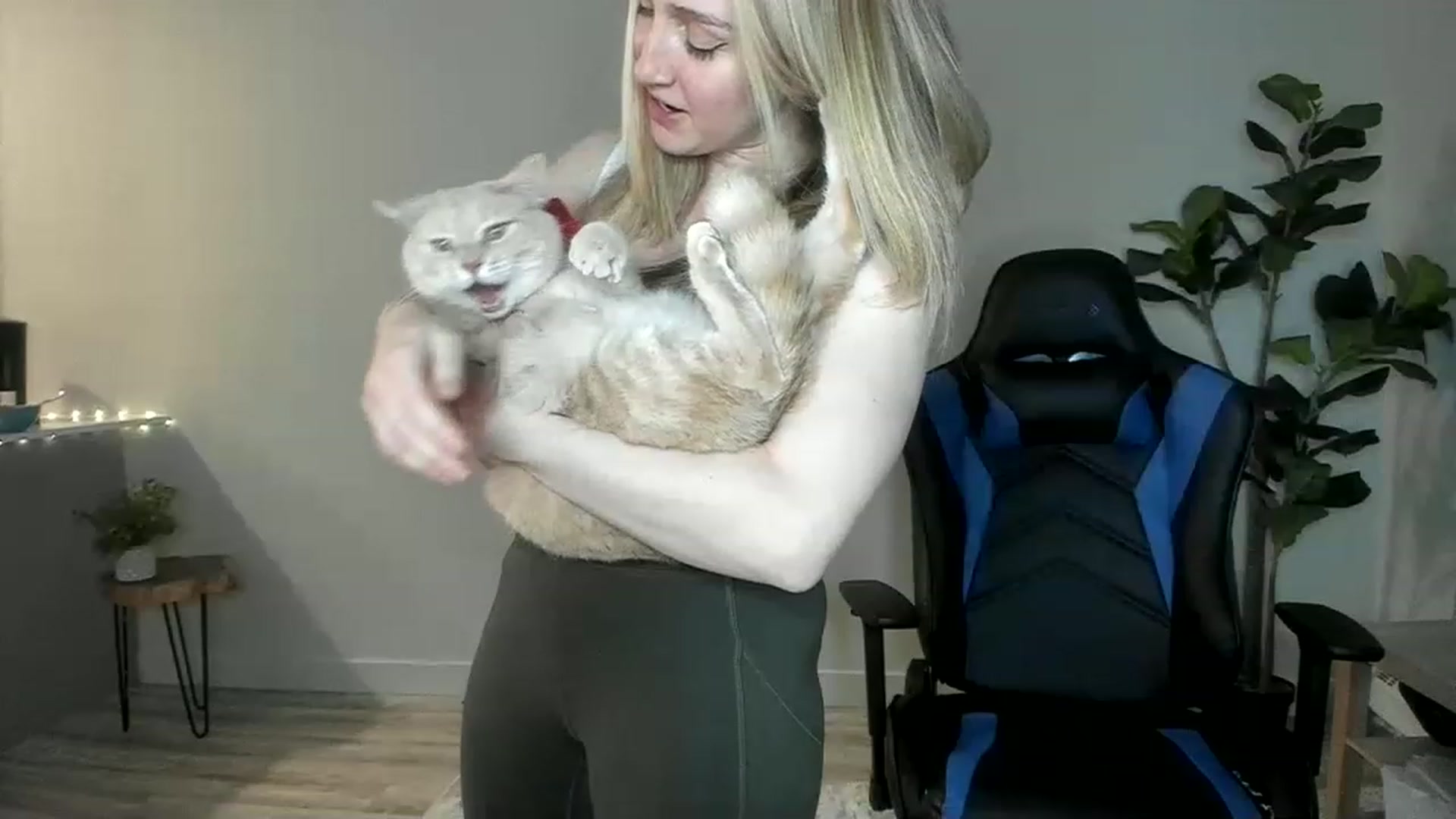 Gallery image thumbnail from JustNatalie's myfreecams stream on, 02/01/2023, 01:19 image 2 of 20