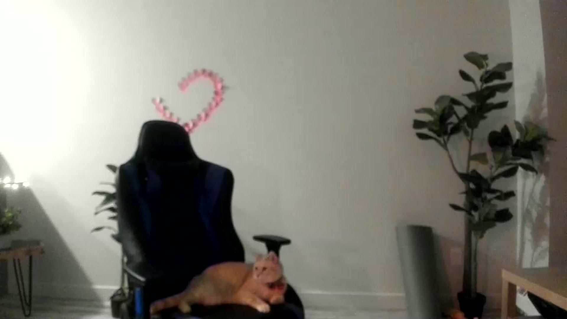 Gallery image thumbnail from JustNatalie's myfreecams stream on, 02/03/2023, 02:10 image 20 of 20