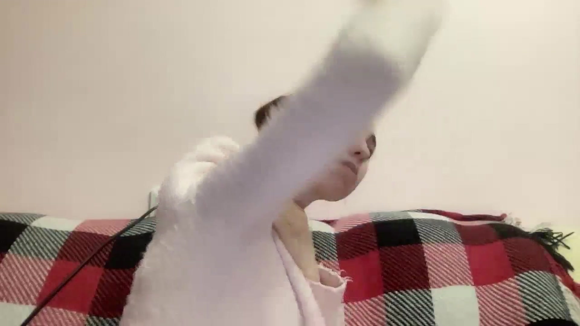 Gallery image thumbnail from Just_I's myfreecams stream on, 01/20/2024, 24:46 image 15 of 20