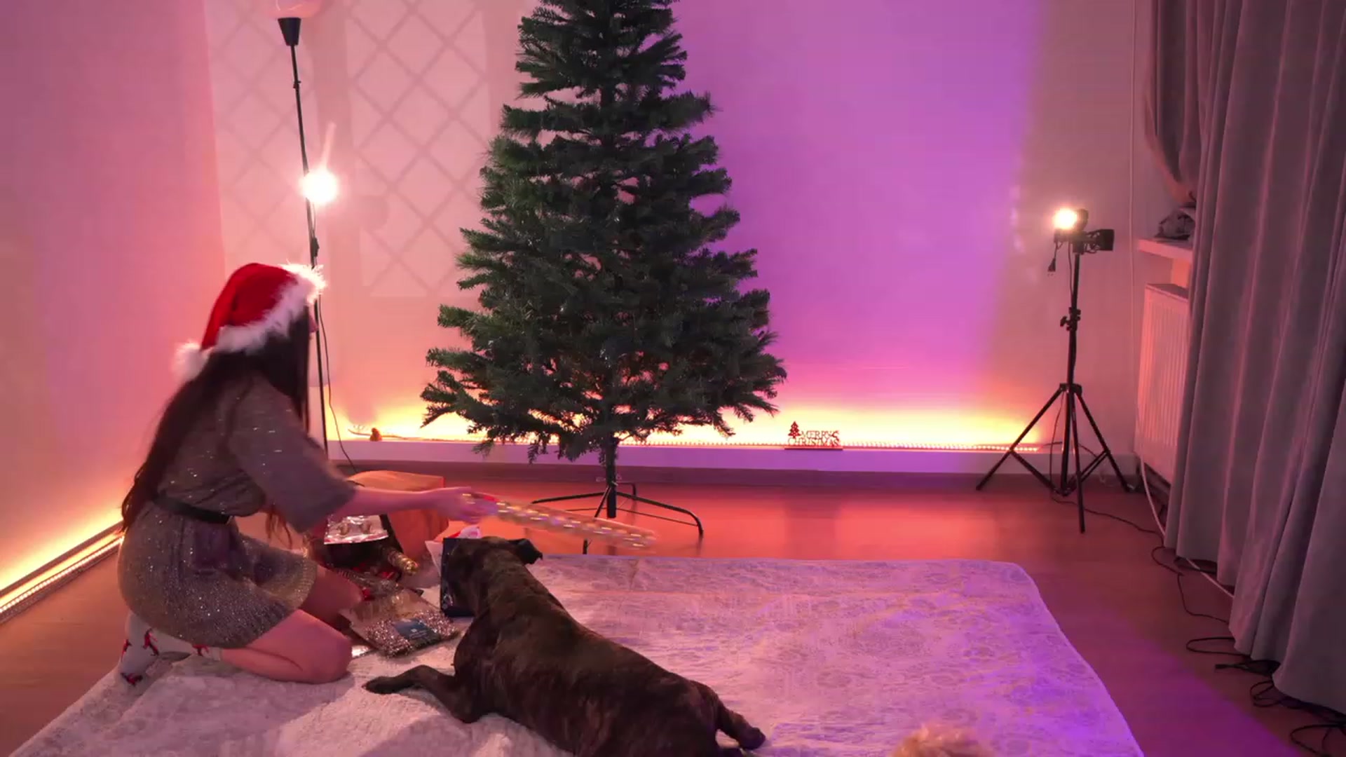 Gallery image thumbnail from Just_Marlene's myfreecams stream on, 12/20/2022, 03:13 image 1 of 20