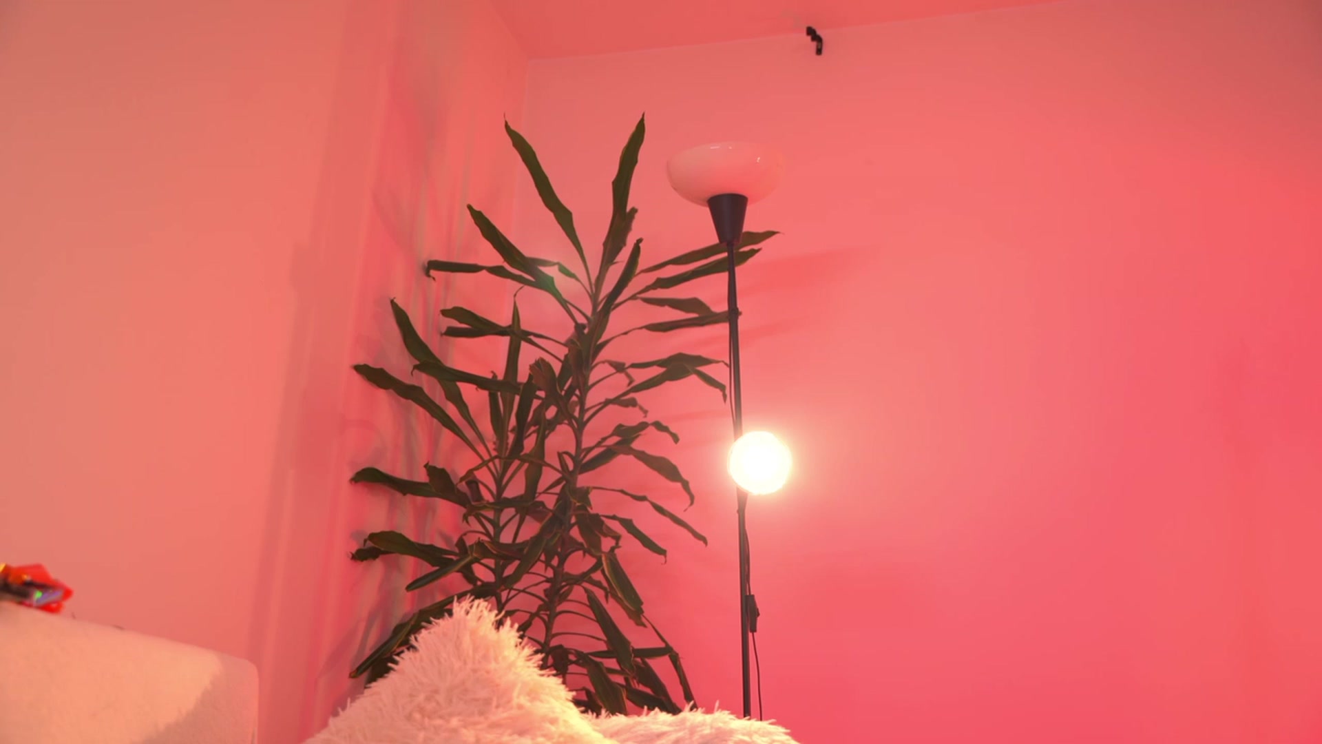 Gallery image thumbnail from Just_Marlene's myfreecams stream on, 02/05/2023, 05:47 image 11 of 20