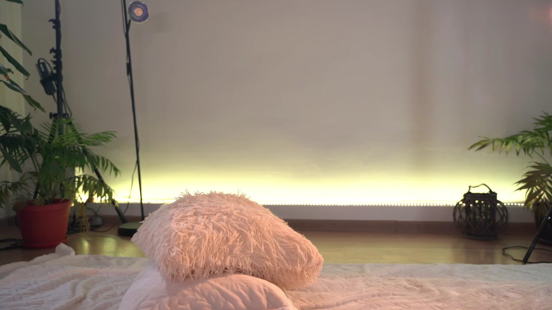 Gallery image thumbnail from Just_Marlene's myfreecams stream on, 02/12/2023, 07:07 image 4 of 20