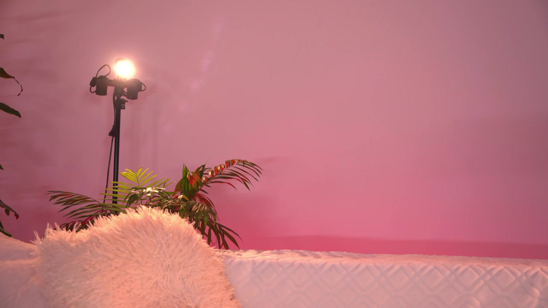 Gallery image thumbnail from Just_Marlene's myfreecams stream on, 02/18/2023, 05:12 image 11 of 20