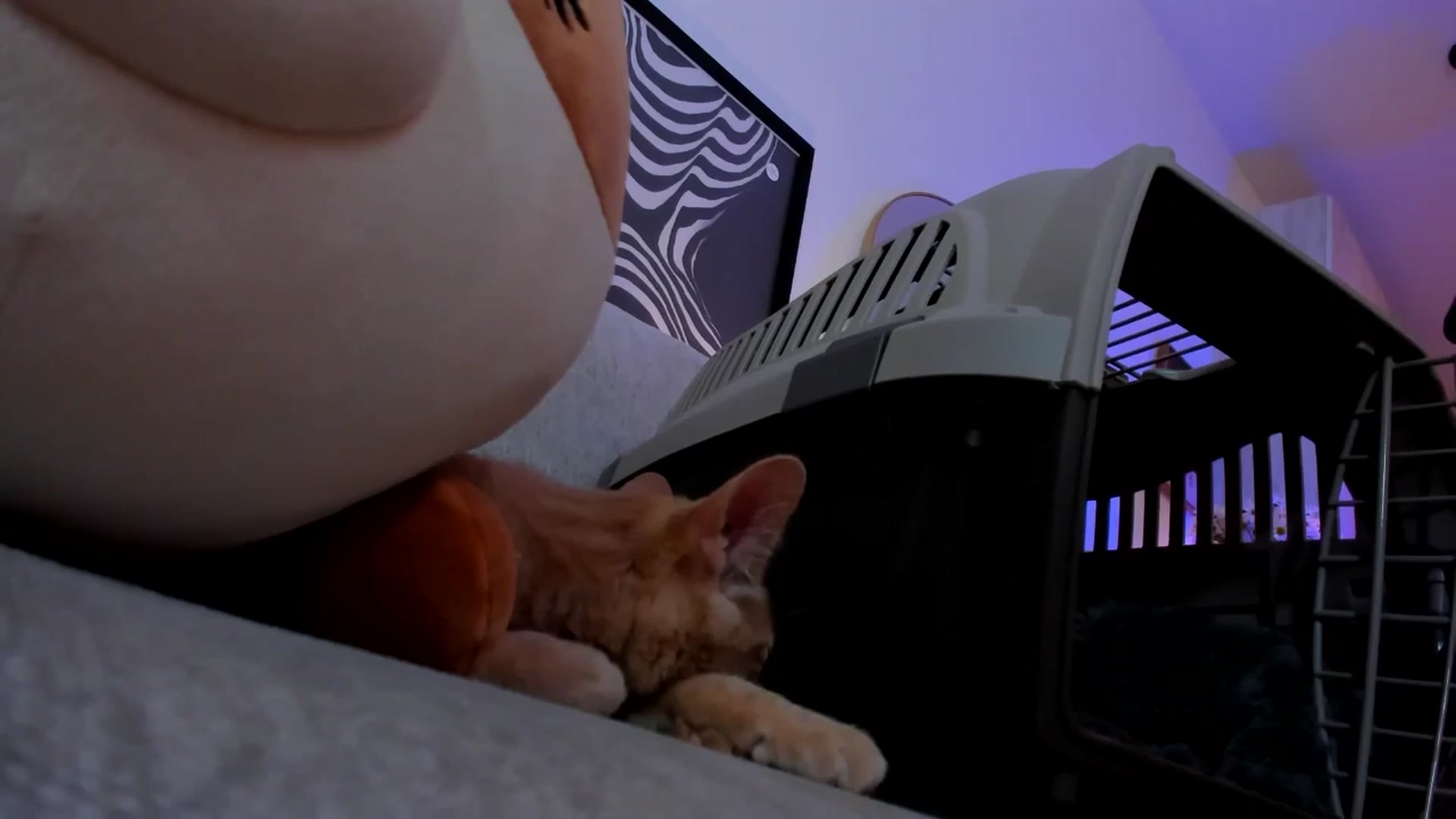 Gallery image thumbnail from Just_Vi's myfreecams stream on, 07/22/2025, 06:23 image 15 of 20