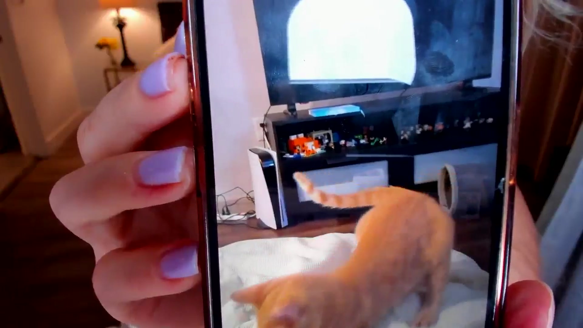 Gallery image thumbnail from Just_Vi's myfreecams stream on, 09/28/2025, 06:03 image 20 of 20