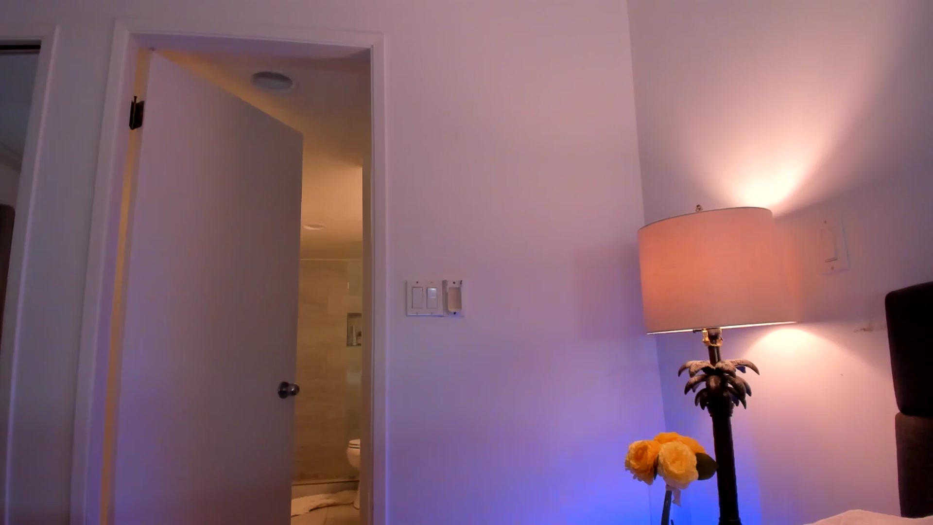 Gallery image thumbnail from Just_Vi's myfreecams stream on, 10/12/2025, 07:41 image 16 of 20