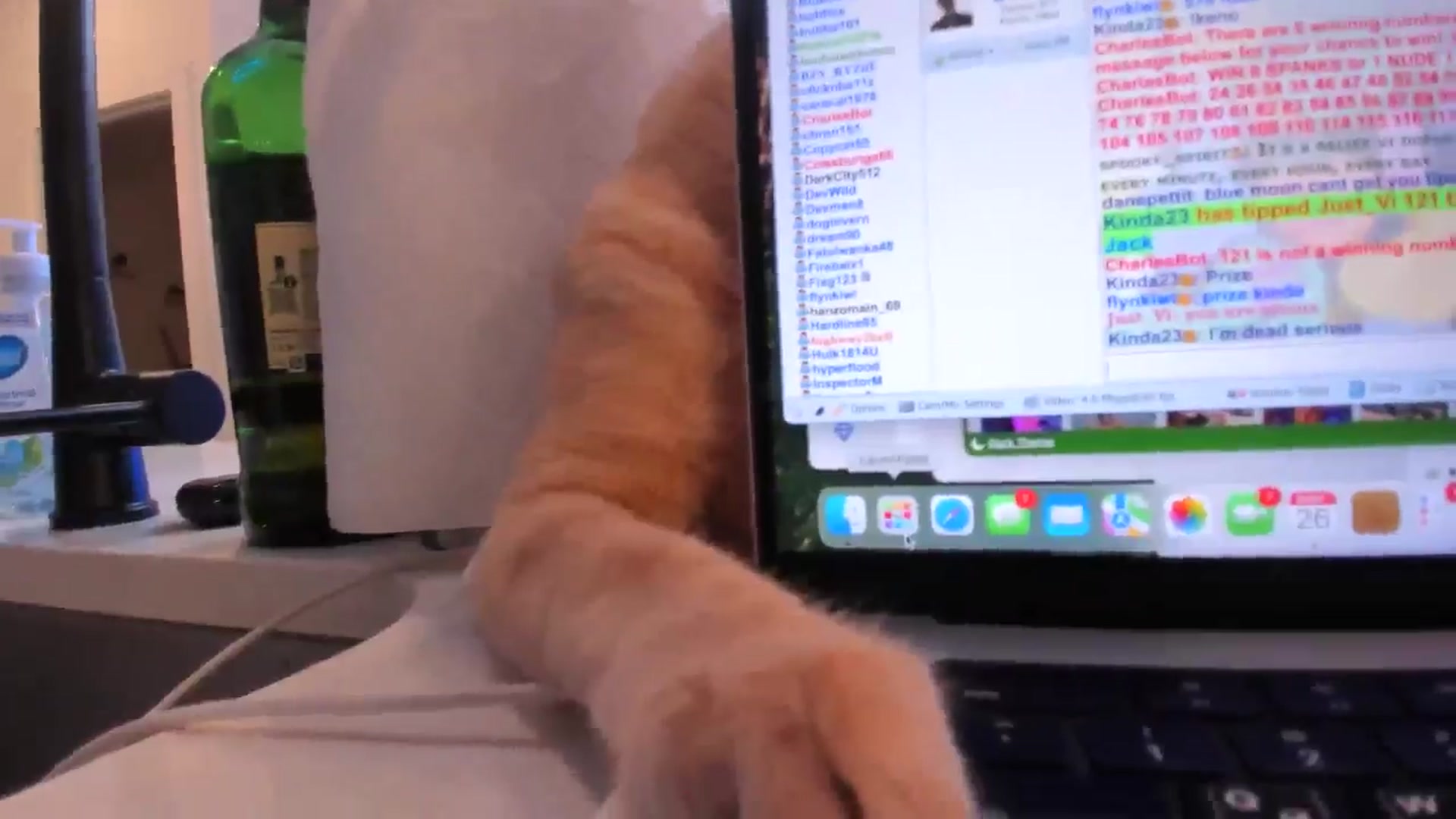 Gallery image thumbnail from Just_Vi's myfreecams stream on, 10/26/2025, 08:00 image 18 of 20