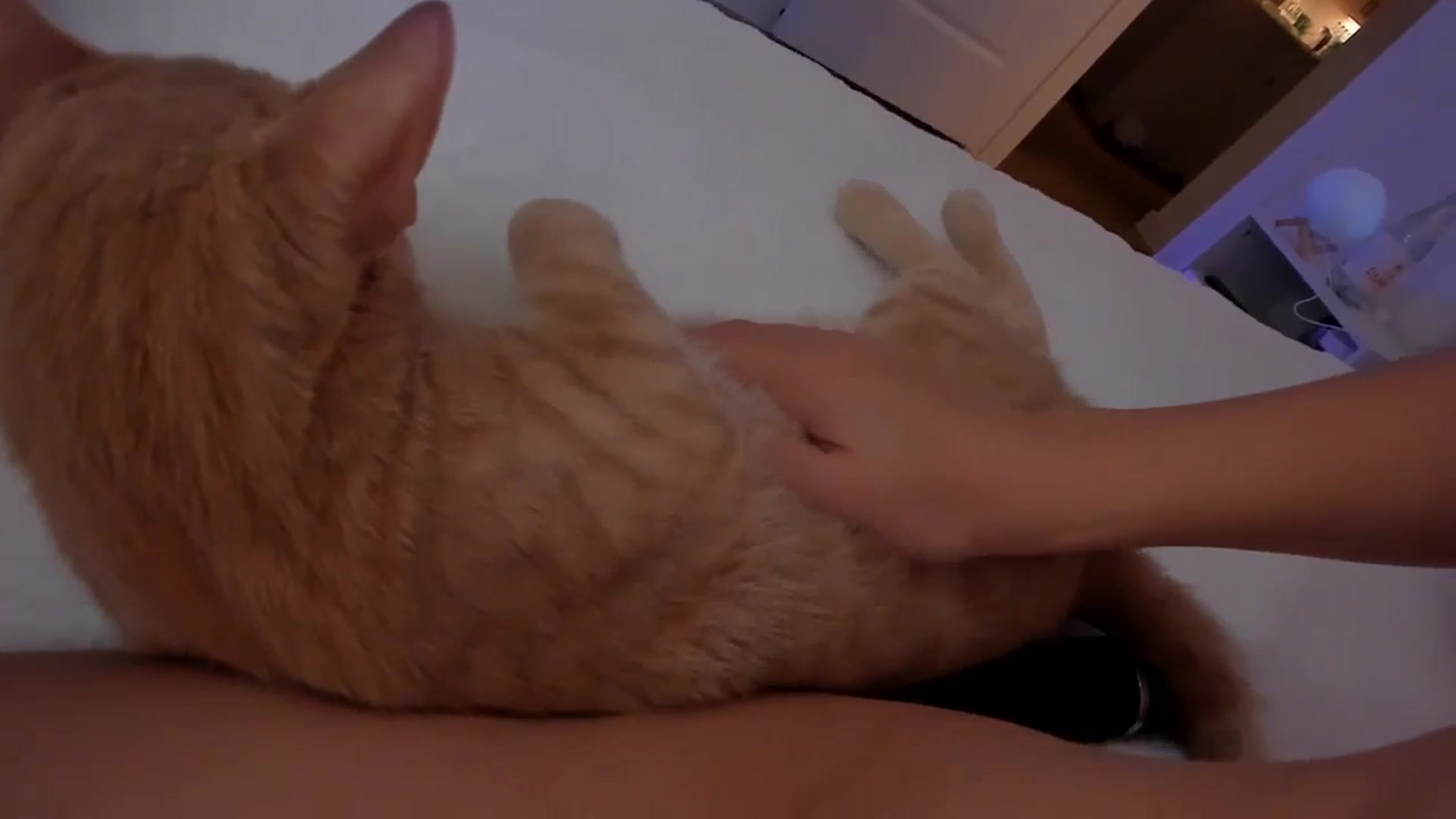 Gallery image thumbnail from Just_Vi's myfreecams stream on, 11/20/2025, 09:06 image 6 of 20